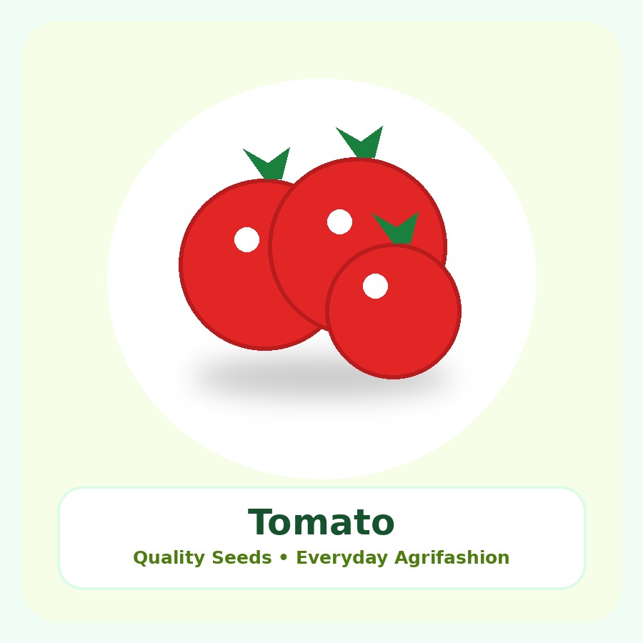 Tomato Seeds 1kg
